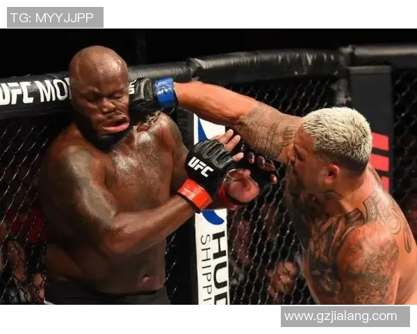 全球格斗体育明星最新排名分析与趋势解读